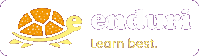 Enduri logo